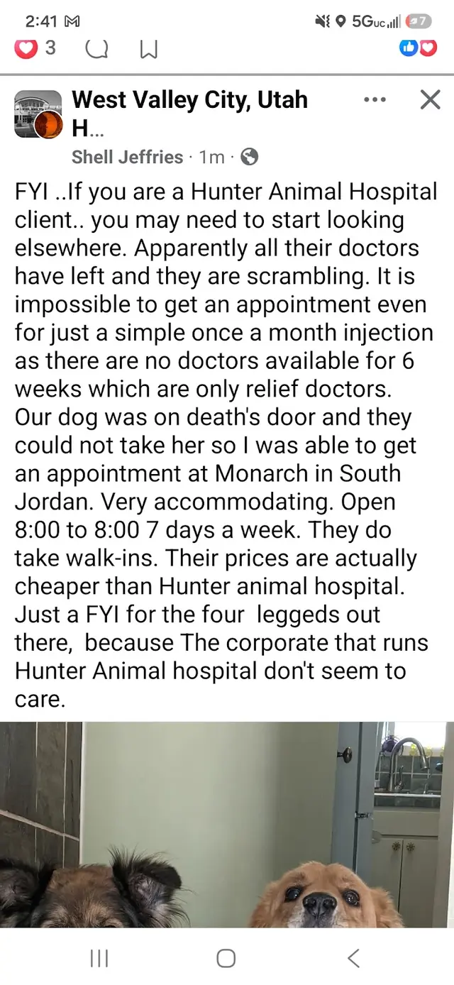 Hunter Animal Hospital — customer photo 5