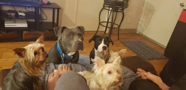 Hunter Animal Hospital — customer photo 3