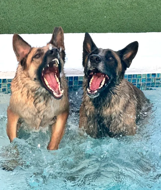 Hunter Animal Hospital — customer photo 4