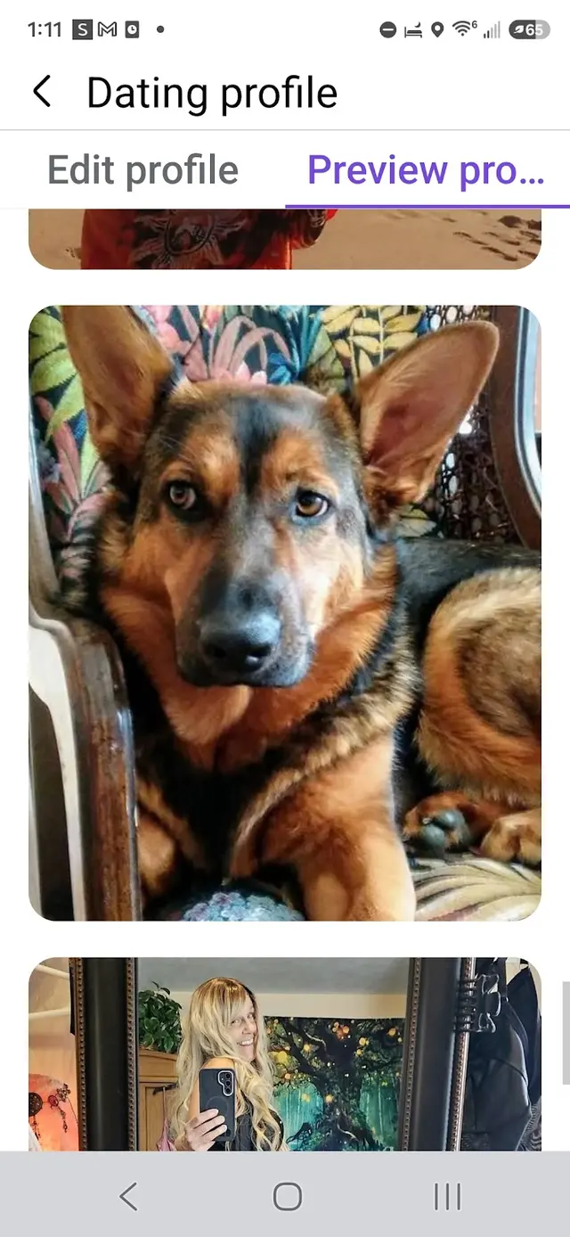 Midvalley Animal Clinic — customer photo 5