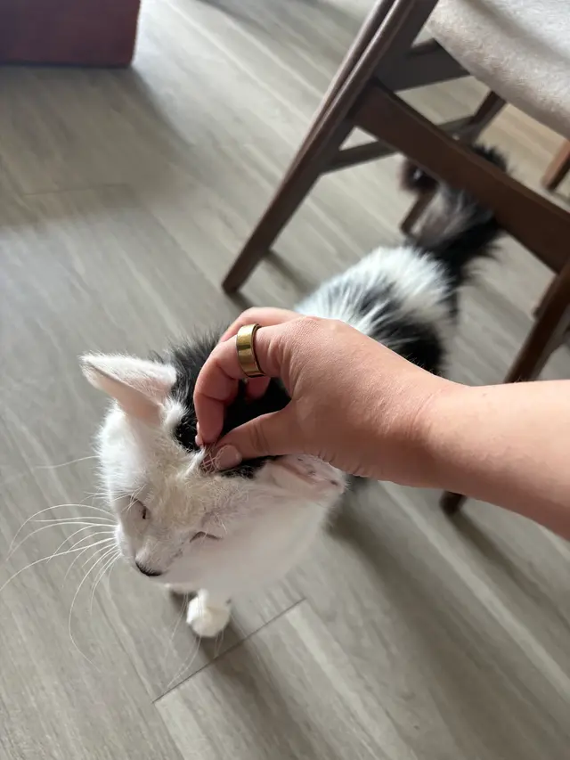 Best Friends Animal Society — customer photo 11