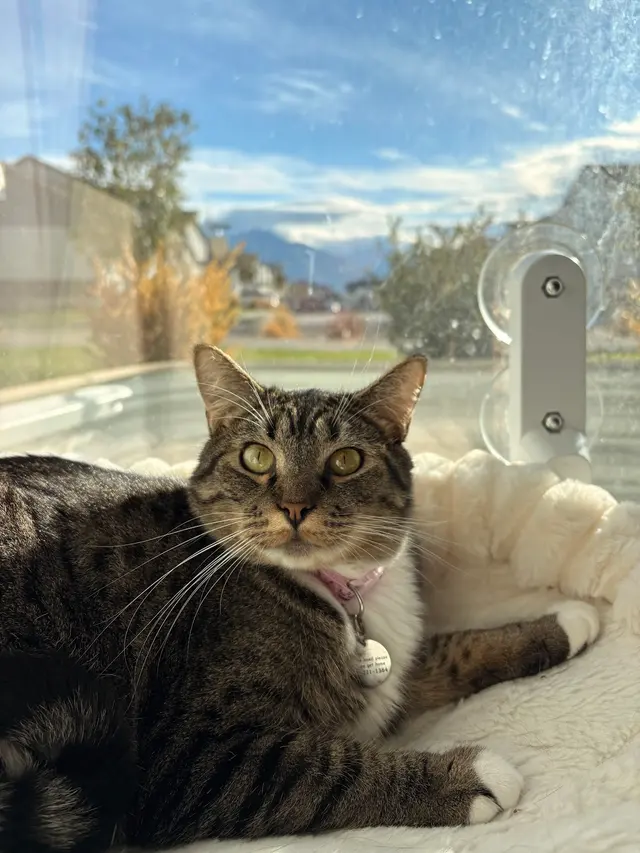 Best Friends Animal Society — customer photo 6
