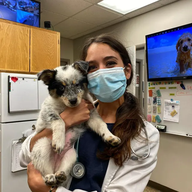 Sugar House Veterinary Hospital — photo from the business 7