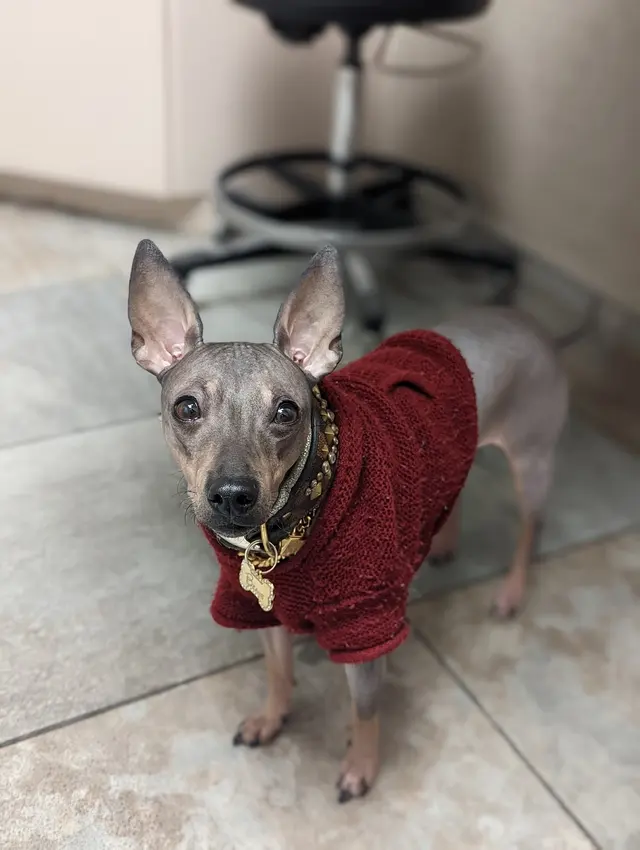 Sugar House Veterinary Hospital — customer photo 8