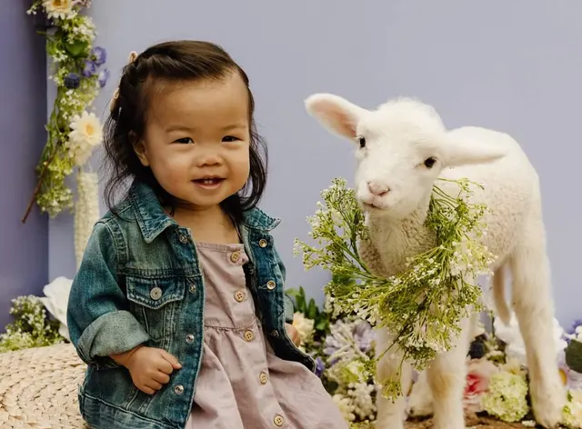 The Farm Animal Rescue; formerly known as The Farm at Gardner Village — photo from the business 3