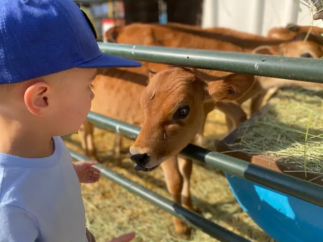 The Farm Animal Rescue; formerly known as The Farm at Gardner Village — photo from the business 5