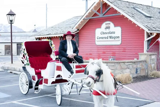 The Farm Animal Rescue; formerly known as The Farm at Gardner Village — photo from the business 2