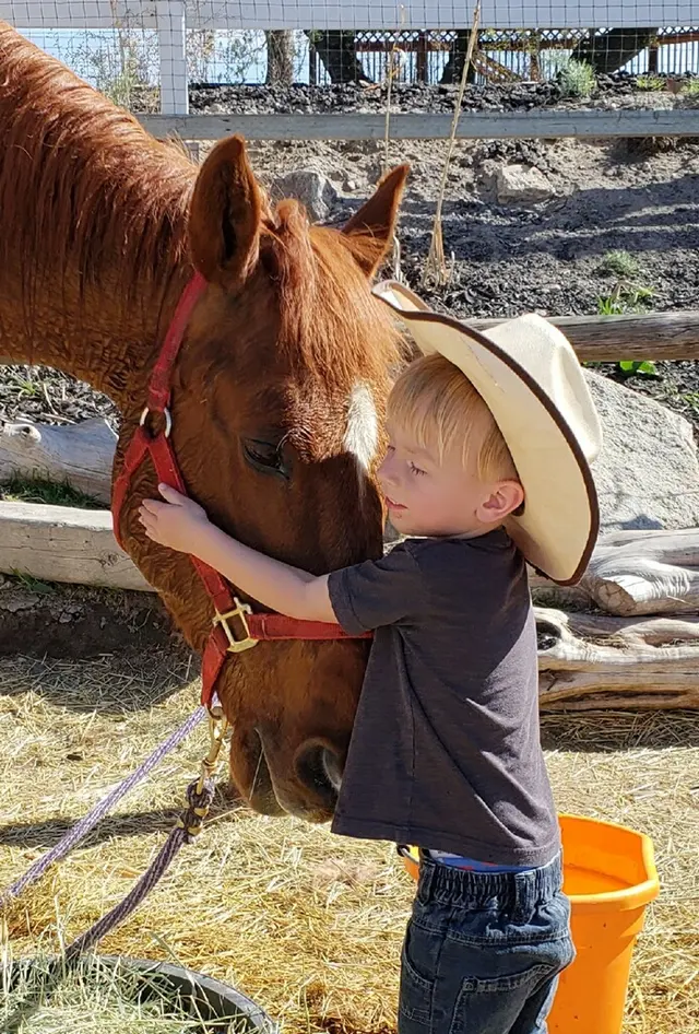 The Farm Animal Rescue; formerly known as The Farm at Gardner Village — photo from the business 6
