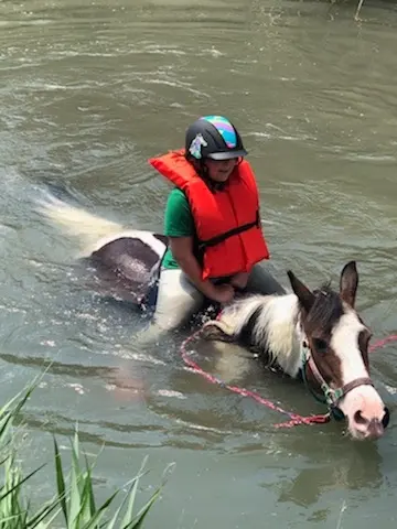 The Farm Animal Rescue; formerly known as The Farm at Gardner Village — photo from the business 1