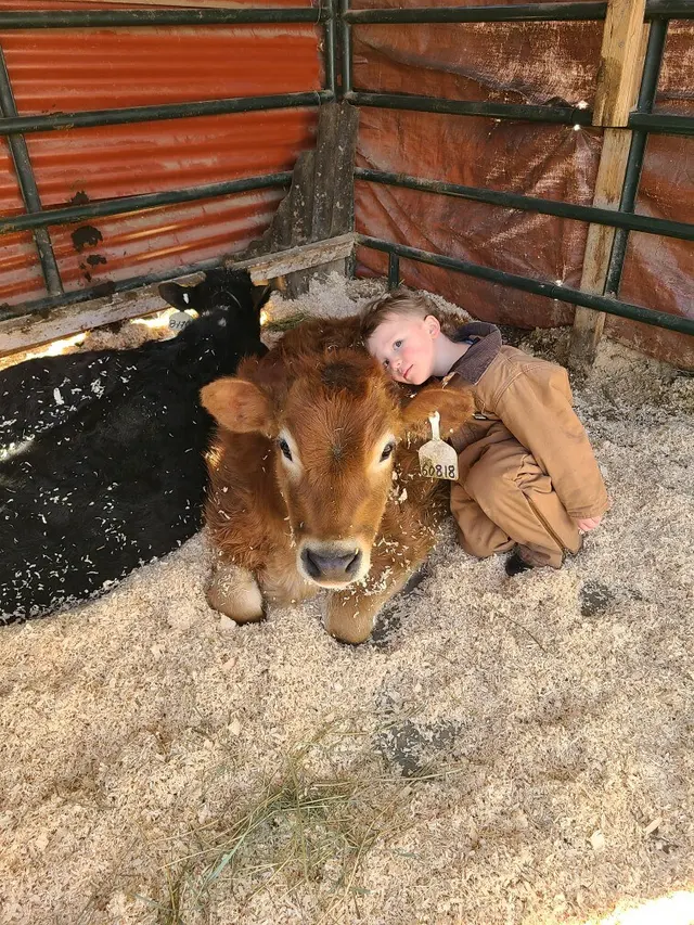 The Farm Animal Rescue; formerly known as The Farm at Gardner Village — photo from the business 12