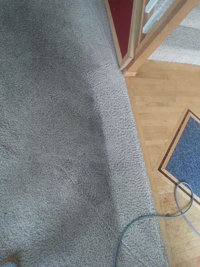 Carsten Cleaning — photo from the business 5