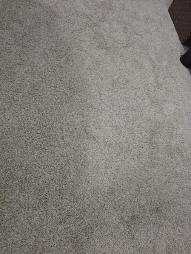 Customer photo from Steve's review