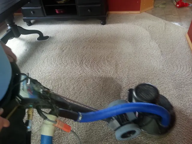 Carsten Cleaning — photo from the business 10