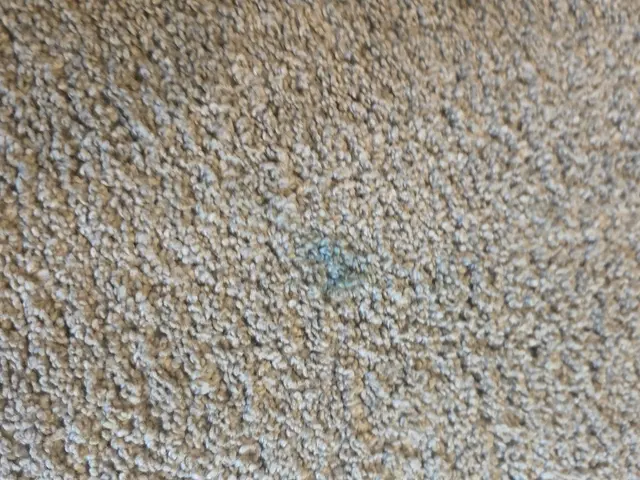 Oxi Fresh Carpet Cleaning — customer photo 12