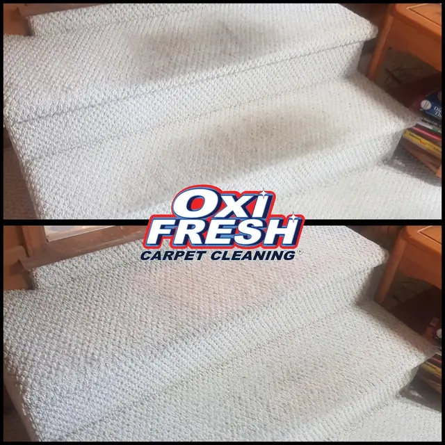 Oxi Fresh Carpet Cleaning — photo from the business 5