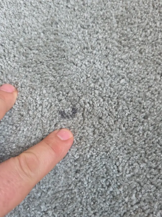 Oxi Fresh Carpet Cleaning — customer photo 10