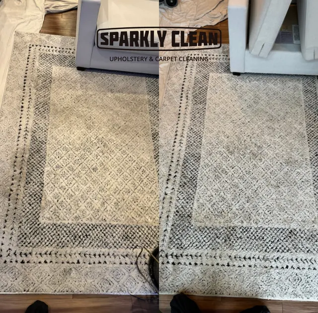 SPARKLY CLEAN LLC — photo from the business 10