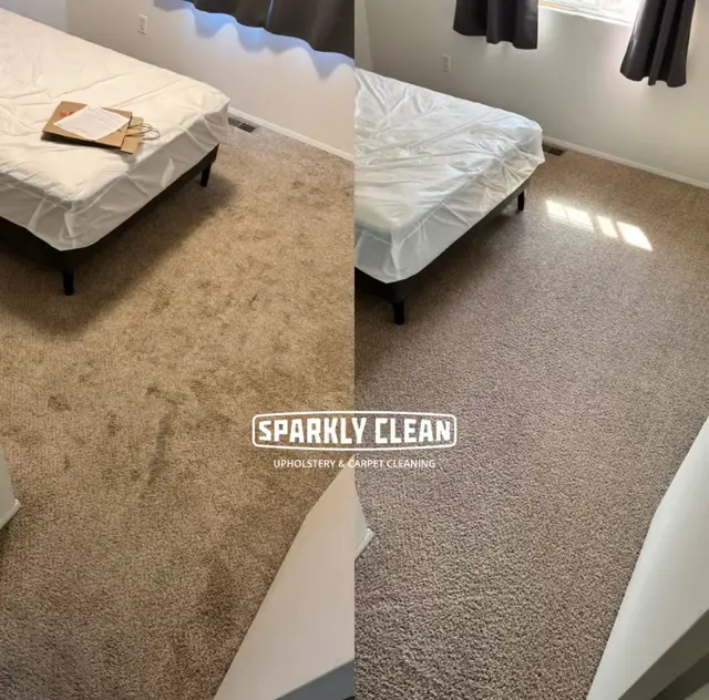 SPARKLY CLEAN LLC — photo from the business 1