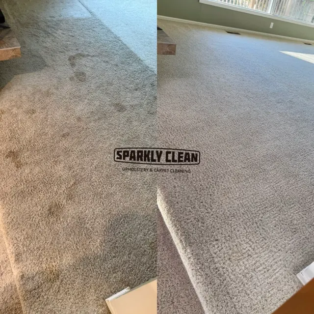 SPARKLY CLEAN LLC — photo from the business 2
