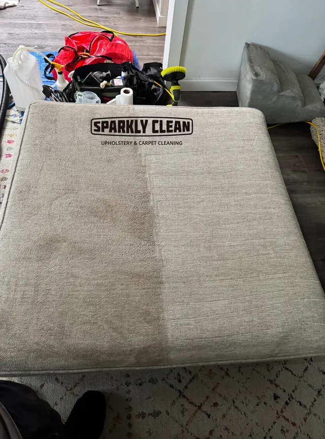 SPARKLY CLEAN LLC — photo from the business 6