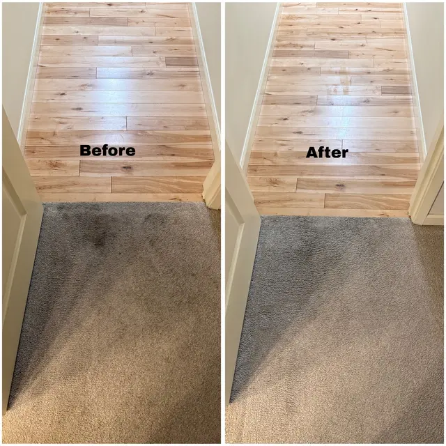 Power Pup Clean — photo from the business 4
