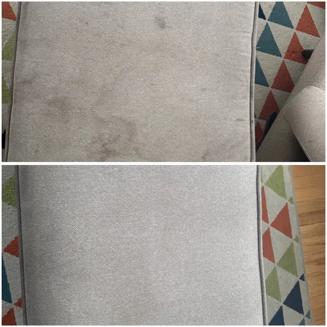 Power Pup Clean — photo from the business 5