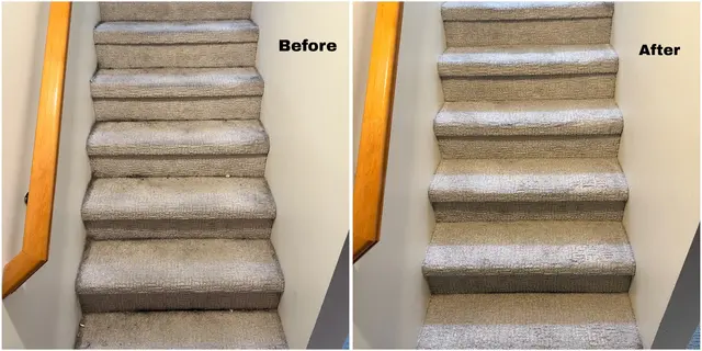 Power Pup Clean — photo from the business 3