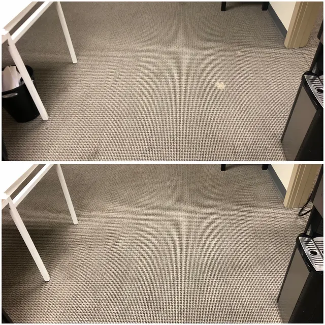 Power Pup Clean — photo from the business 6