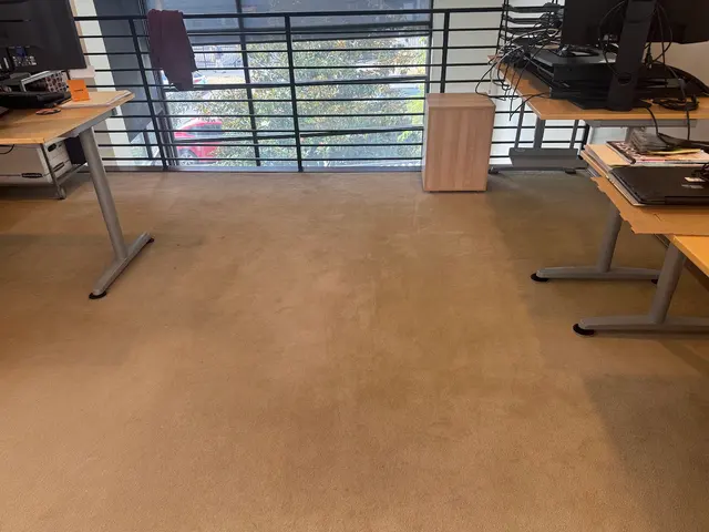 Power Pup Clean — photo from the business 11