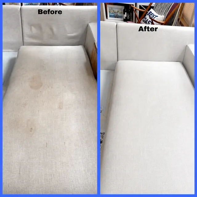 Power Pup Clean — photo from the business 2