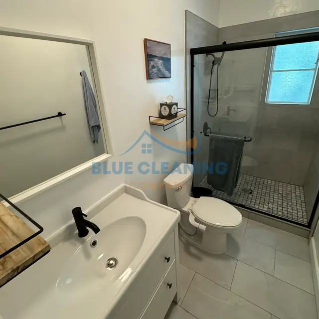 Blue Cleaning Company — photo from the business 11