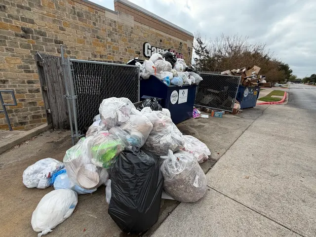 Junk Out Boys LLC — photo from the business 12