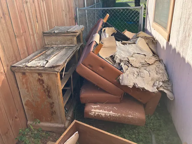 Dash Away Junk Hauling — customer photo 9