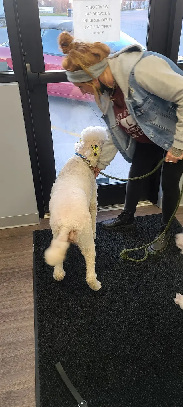 AHSD Canine Services — customer photo 9
