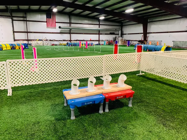 Cooperative Canine Concepts - Dog Training — photo from the business 6