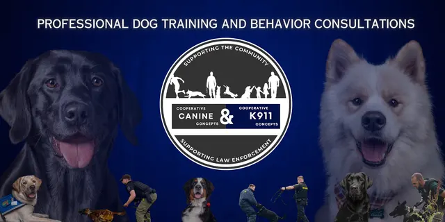 Cooperative Canine Concepts - Dog Training — photo from the business 1