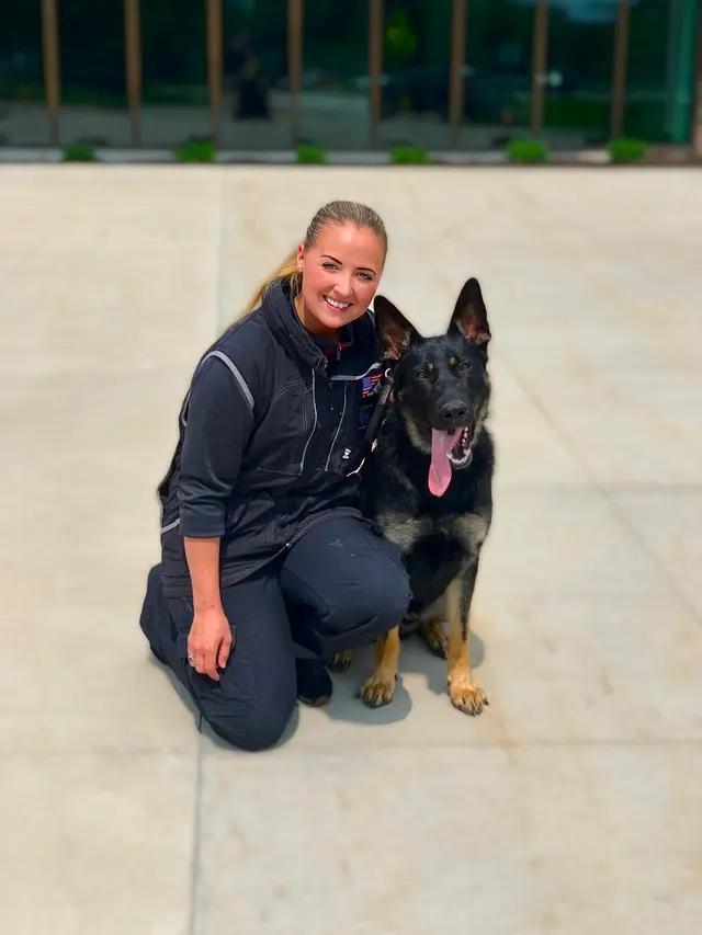 Cooperative Canine Concepts - Dog Training — photo from the business 7