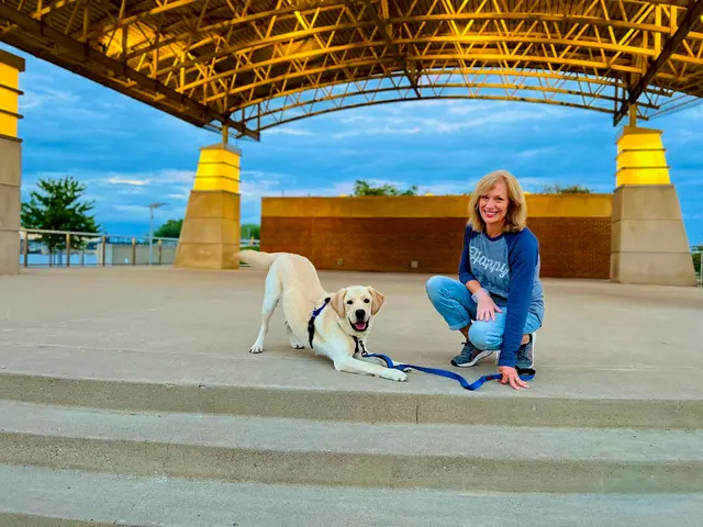 Cooperative Canine Concepts - Dog Training — photo from the business 9
