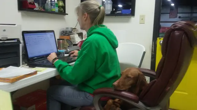 Quad Cities Dog Center — customer photo 9
