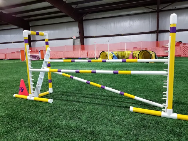 Quad Cities Dog Center — customer photo 4