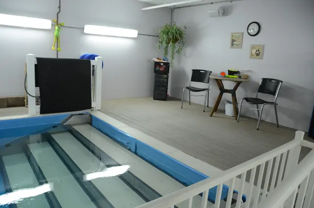 The Paddling Pooch K-9 Aqua Fitness & Nutrition — customer photo 8
