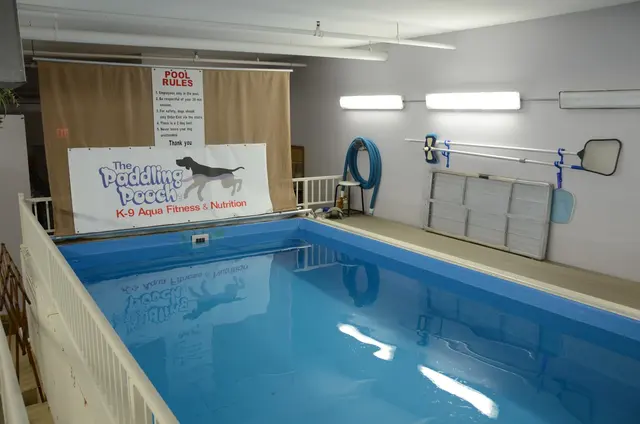 The Paddling Pooch K-9 Aqua Fitness & Nutrition — customer photo 2
