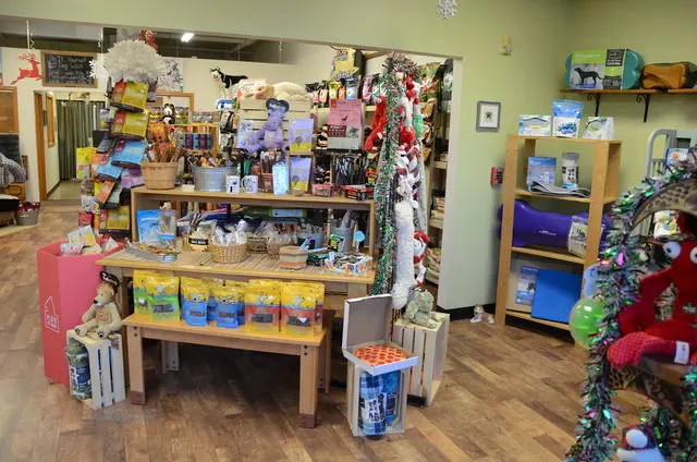 The Paddling Pooch K-9 Aqua Fitness & Nutrition — customer photo 11