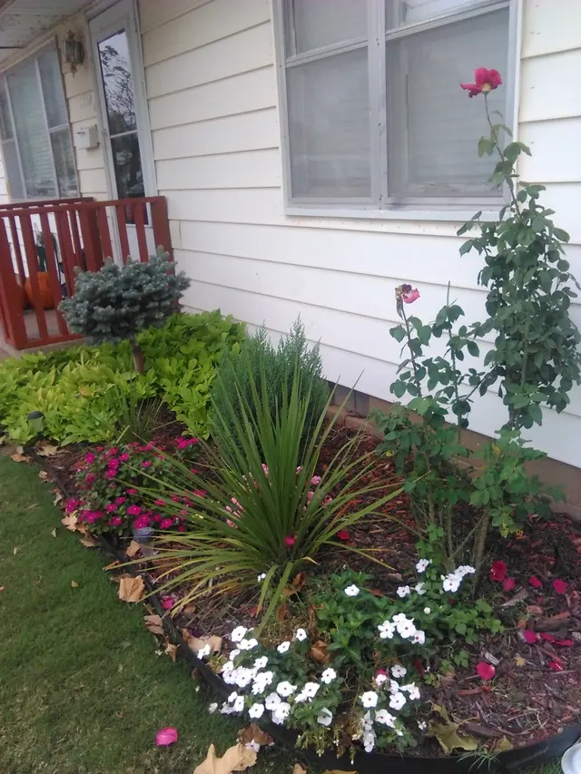 Alfonso sprinkler system — customer photo 10