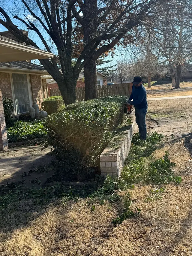 Freddy’s Landscaping — photo from the business 7