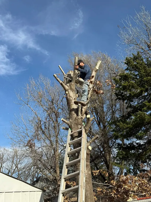 Freddy’s Landscaping — photo from the business 11
