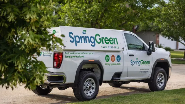 Spring Green — photo from the business 1