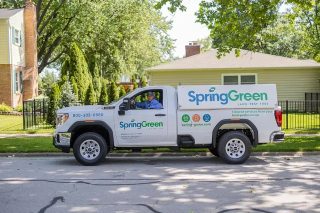 Spring Green — photo from the business 3