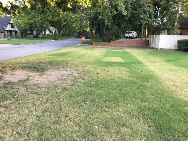 Spring Green — customer photo 4