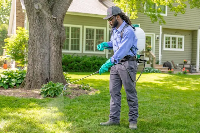 Spring Green — photo from the business 2